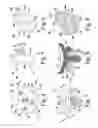 Fig. 04 - Glenoid defect-filling component
