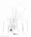 Fig. 02 - Pulmonary airflow