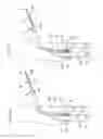 Fig. 08 - SELF-EXPANDABLE STENT DELIVERY SYSTEM