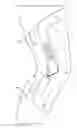 Fig. 01 - Hinge for a brace