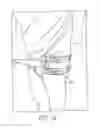 Fig. 09 - PELVIC BINDERS