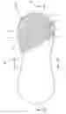 Fig. 01 - Absorbent structure