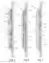 Fig. 05 - Absorbent structure