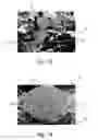 Fig. 10 - Absorbent structure