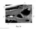 Fig. 12 - Absorbent structure