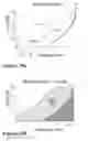 Fig. 16 - Absorbent structure