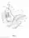 Fig. 07 - Dental chair