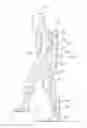 Fig. 01 - Devices and methods for improving the utility of an exoskeleton mobility base