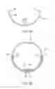 Fig. 05 - Massage foam roller apparatus and system