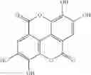 Fig. 13 - Matrix-metalloproteinase (MMP) inhibitory extract and methods of use thereof
