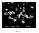 Fig. 18 - COMPOSITIONS FOR RESPIRATORY DELIVERY OF ACTIVE AGENTS AND ASSOCIATED METHODS AND SYSTEMS