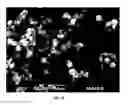 Fig. 20 - COMPOSITIONS FOR RESPIRATORY DELIVERY OF ACTIVE AGENTS AND ASSOCIATED METHODS AND SYSTEMS