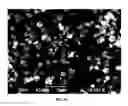 Fig. 21 - COMPOSITIONS FOR RESPIRATORY DELIVERY OF ACTIVE AGENTS AND ASSOCIATED METHODS AND SYSTEMS