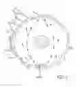 Fig. 03 - Intracameral sustained release therapeutic agent implants
