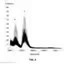 Fig. 05 - Method of delivering therapeutics and imaging agents to the brain by nanoparticles that cross the blood brain barrier