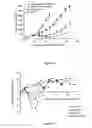 Fig. 08 - Liposomes useful for drug delivery