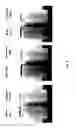 Fig. 05 - Active agent-containing microcapsules