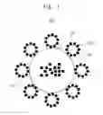 Fig. 02 - PoP NANOCOMPOSITE STRUCTURES AND METHODS OF TRANSFERRING DRUGS USING THE SAME