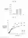Fig. 09 - PoP NANOCOMPOSITE STRUCTURES AND METHODS OF TRANSFERRING DRUGS USING THE SAME