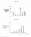 Fig. 10 - PoP NANOCOMPOSITE STRUCTURES AND METHODS OF TRANSFERRING DRUGS USING THE SAME