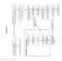 Fig. 04 - Systems and methods for increasing agmatine cellular uptake by oral administration