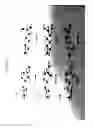 Fig. 06 - Systems and methods for increasing agmatine cellular uptake by oral administration