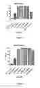 Fig. 06 - Methods for treating bacterial infections