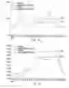 Fig. 09 - PHARMACEUTICAL COMPOSITIONS COMPRISING DGLA AND USE OF SAME