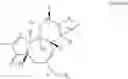 Fig. 02 - Compositions and methods of use of phorbol esters for the treatment of stroke