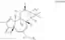 Fig. 11 - Compositions and methods of use of phorbol esters for the treatment of stroke