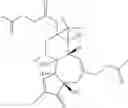Fig. 43 - Compositions and methods of use of phorbol esters for the treatment of stroke