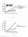 Fig. 05 - BH4 antagonists and methods related thereto