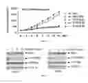 Fig. 06 - BH4 antagonists and methods related thereto