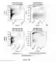 Fig. 02 - Carrier-antibody compositions and methods of making and using the same