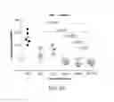 Fig. 12 - Carrier-antibody compositions and methods of making and using the same