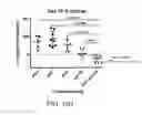 Fig. 45 - Carrier-antibody compositions and methods of making and using the same