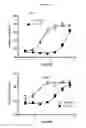 Fig. 15 - Ultrapure tetrahydrocannabinol-11-oic acids