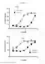 Fig. 15 - Ultrapure tetrahydrocannabinol-11-oic acids