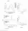 Fig. 02 - METHODS AND FORMULATIONS FOR INCREASING CHEMICAL STABILITY AND BIOLOGICAL ACTIVITY OF PHENOLIC COMPOUNDS