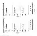 Fig. 04 - METHODS AND FORMULATIONS FOR INCREASING CHEMICAL STABILITY AND BIOLOGICAL ACTIVITY OF PHENOLIC COMPOUNDS
