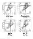 Fig. 19 - METHODS AND FORMULATIONS FOR INCREASING CHEMICAL STABILITY AND BIOLOGICAL ACTIVITY OF PHENOLIC COMPOUNDS