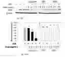 Fig. 22 - METHODS AND FORMULATIONS FOR INCREASING CHEMICAL STABILITY AND BIOLOGICAL ACTIVITY OF PHENOLIC COMPOUNDS
