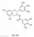 Fig. 26 - METHODS AND FORMULATIONS FOR INCREASING CHEMICAL STABILITY AND BIOLOGICAL ACTIVITY OF PHENOLIC COMPOUNDS