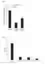 Fig. 04 - Compounds for treating ophthalmic diseases and disorders