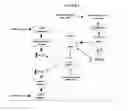 Fig. 02 - Compositions and methods for drug-sensitization or inhibition of a cancer cell