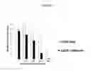 Fig. 07 - Compositions and methods for drug-sensitization or inhibition of a cancer cell
