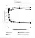 Fig. 19 - Compositions and methods for drug-sensitization or inhibition of a cancer cell