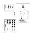 Fig. 32 - Compositions and methods for drug-sensitization or inhibition of a cancer cell