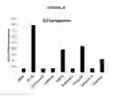 Fig. 45 - Compositions and methods for drug-sensitization or inhibition of a cancer cell