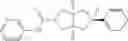Fig. 156 - Selective octahydro-cyclopenta[C] pyrrole negative modulators of NR2B
